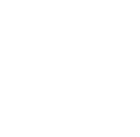 The Brand Pulse